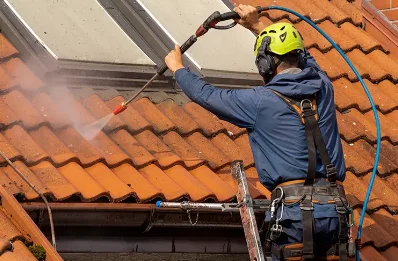 Démoussage et hydrofuge de toiture à Loc-Brévalaire
